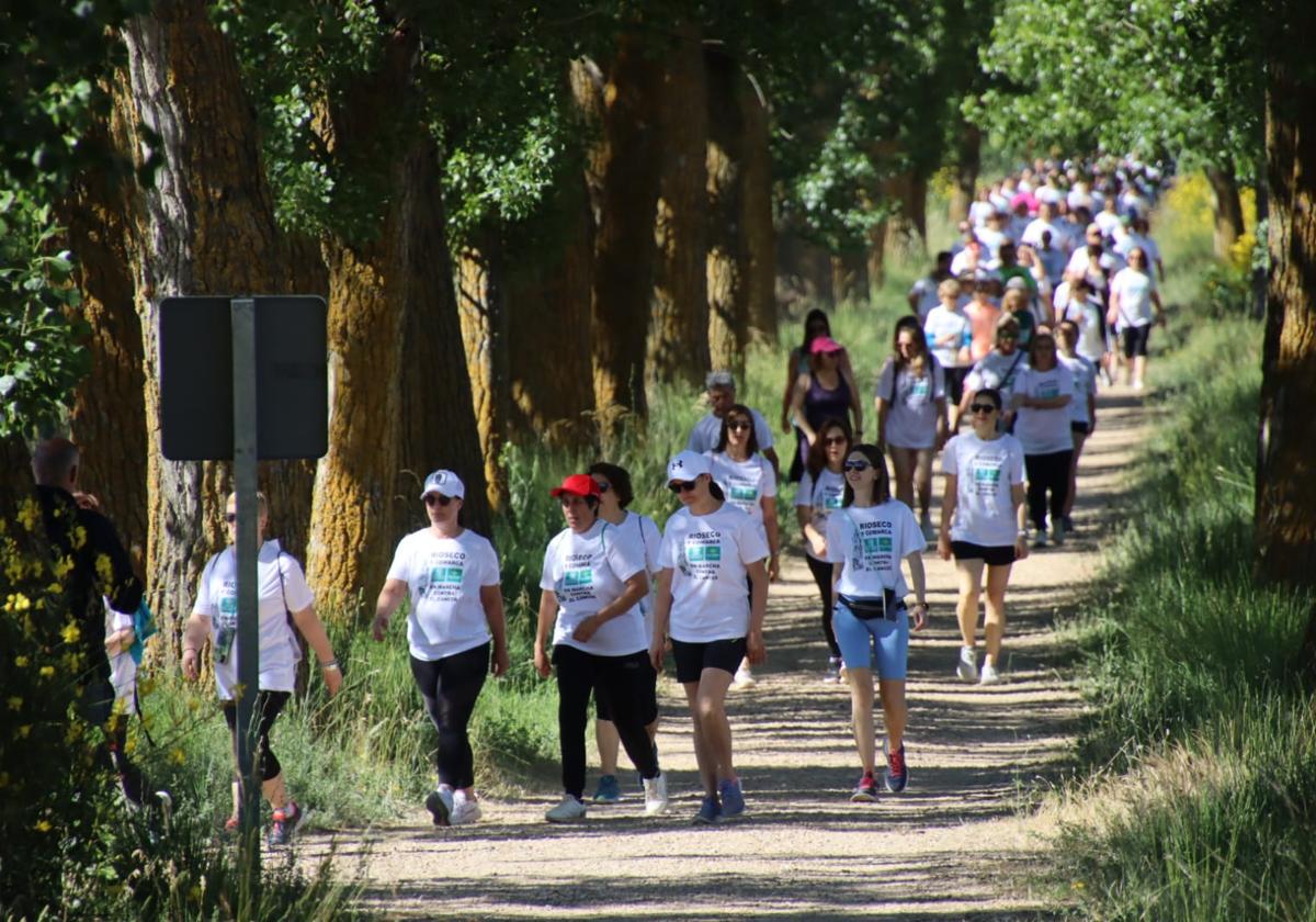 La octava marcha contra el cáncer de Rioseco, en imágenes