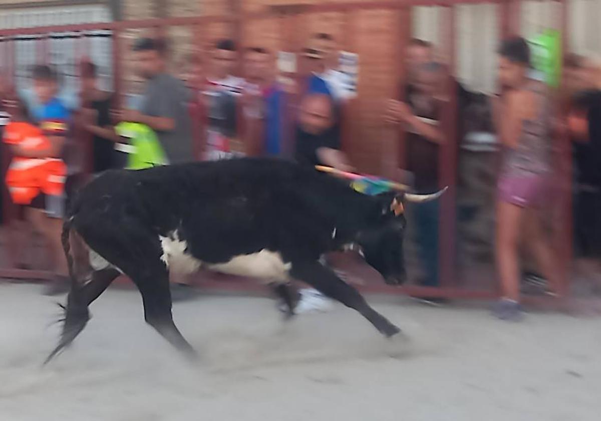 Un momento del encierro de Villanueva.