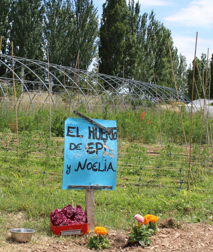 Imagen secundaria 2 - Sede de La Flor de Castilla 