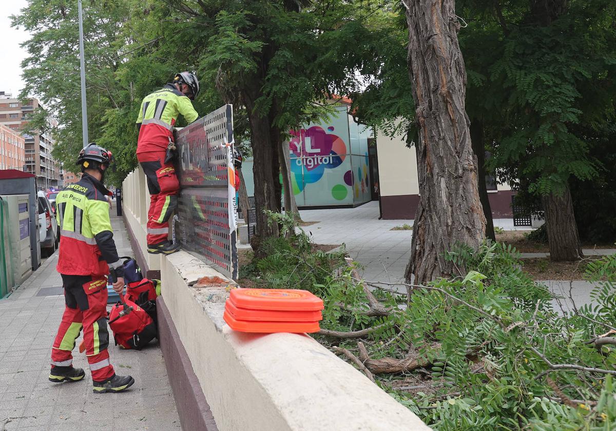 Otro susto con los árboles de Modesto Lafuente