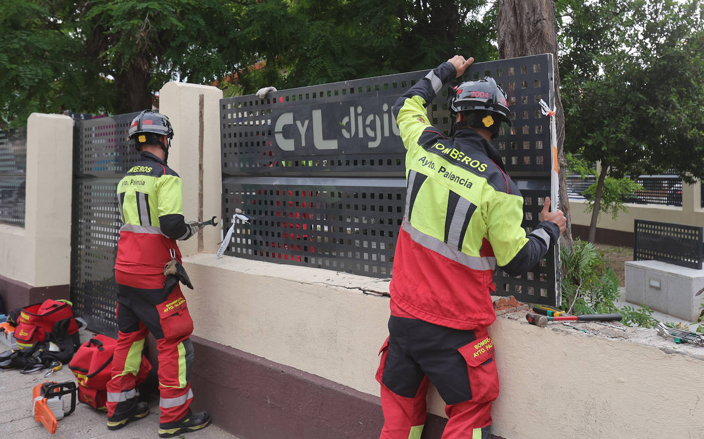 Otro susto con los árboles de Modesto Lafuente