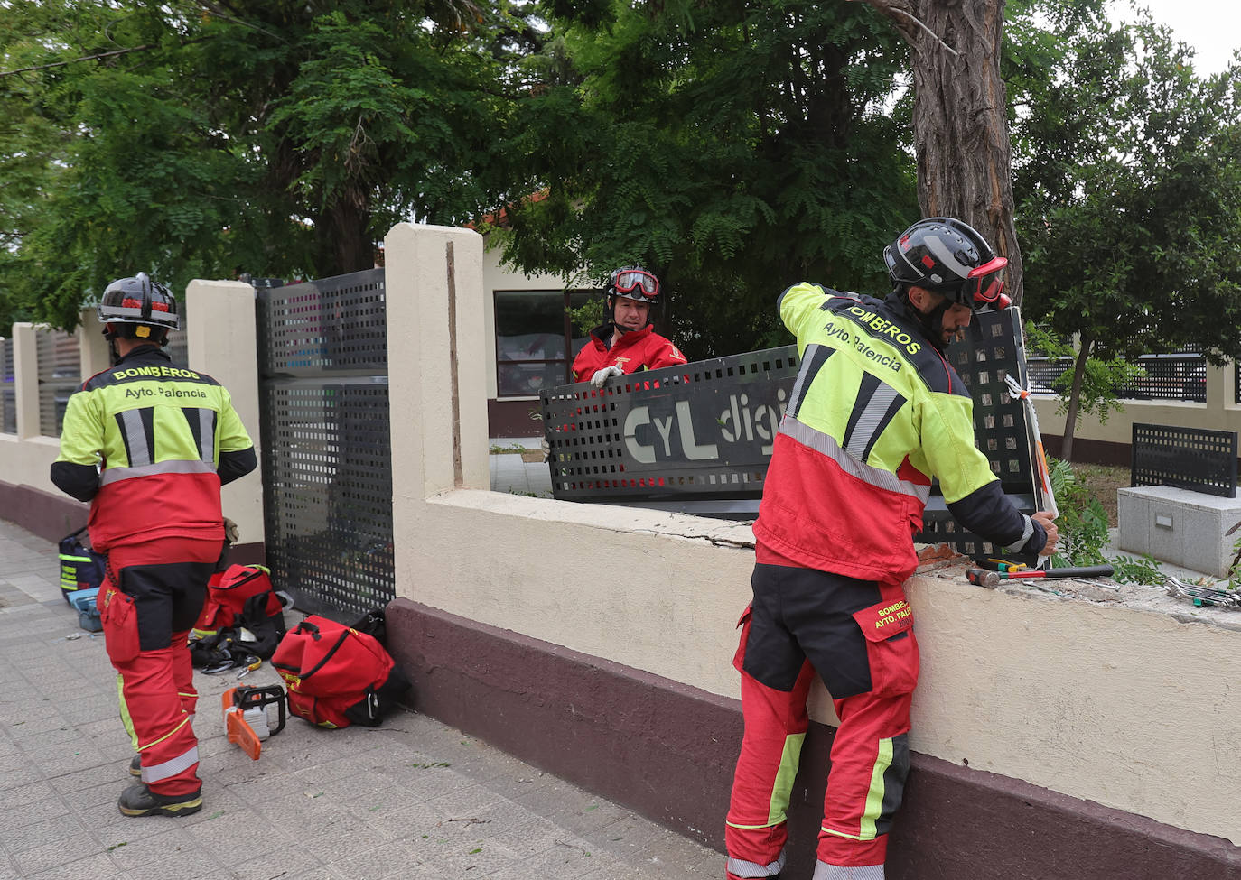 Otro susto con los árboles de Modesto Lafuente