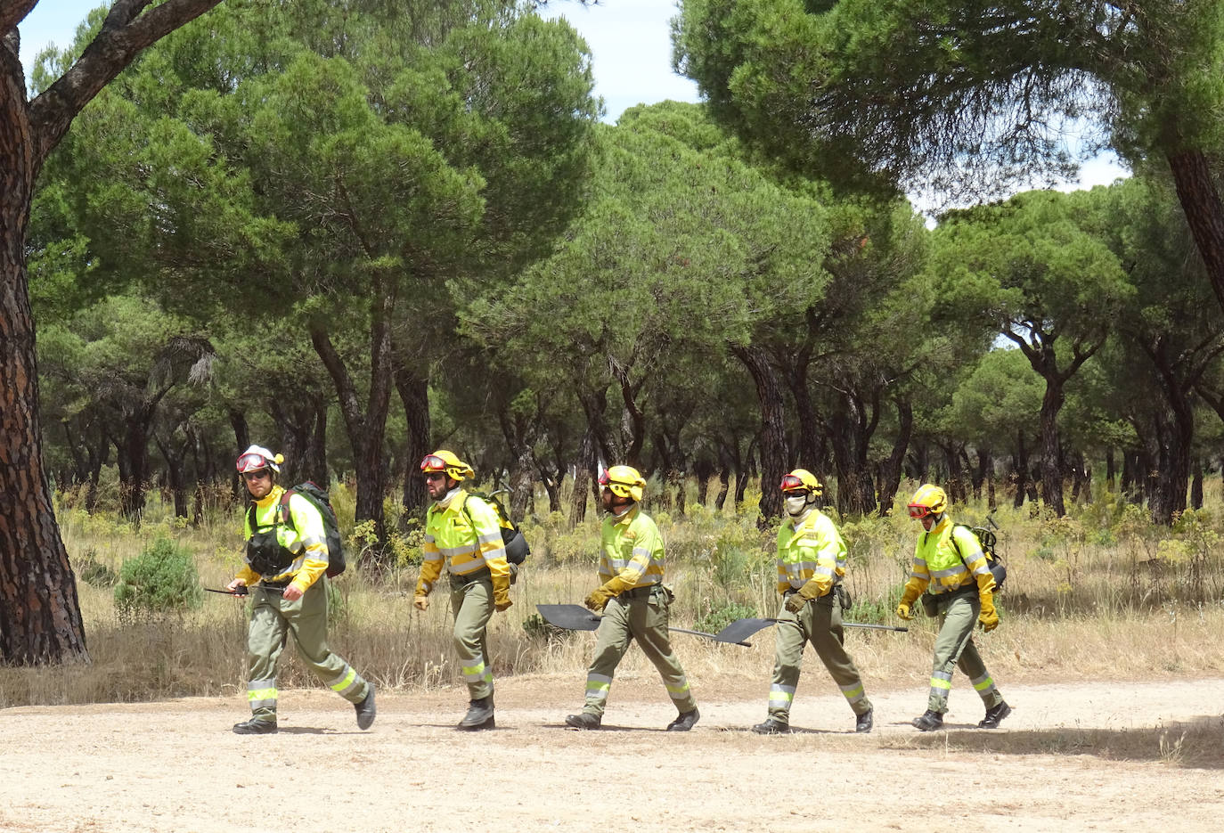 Las imágenes del simulacro de incendio forestal en el Pinar de Antequera