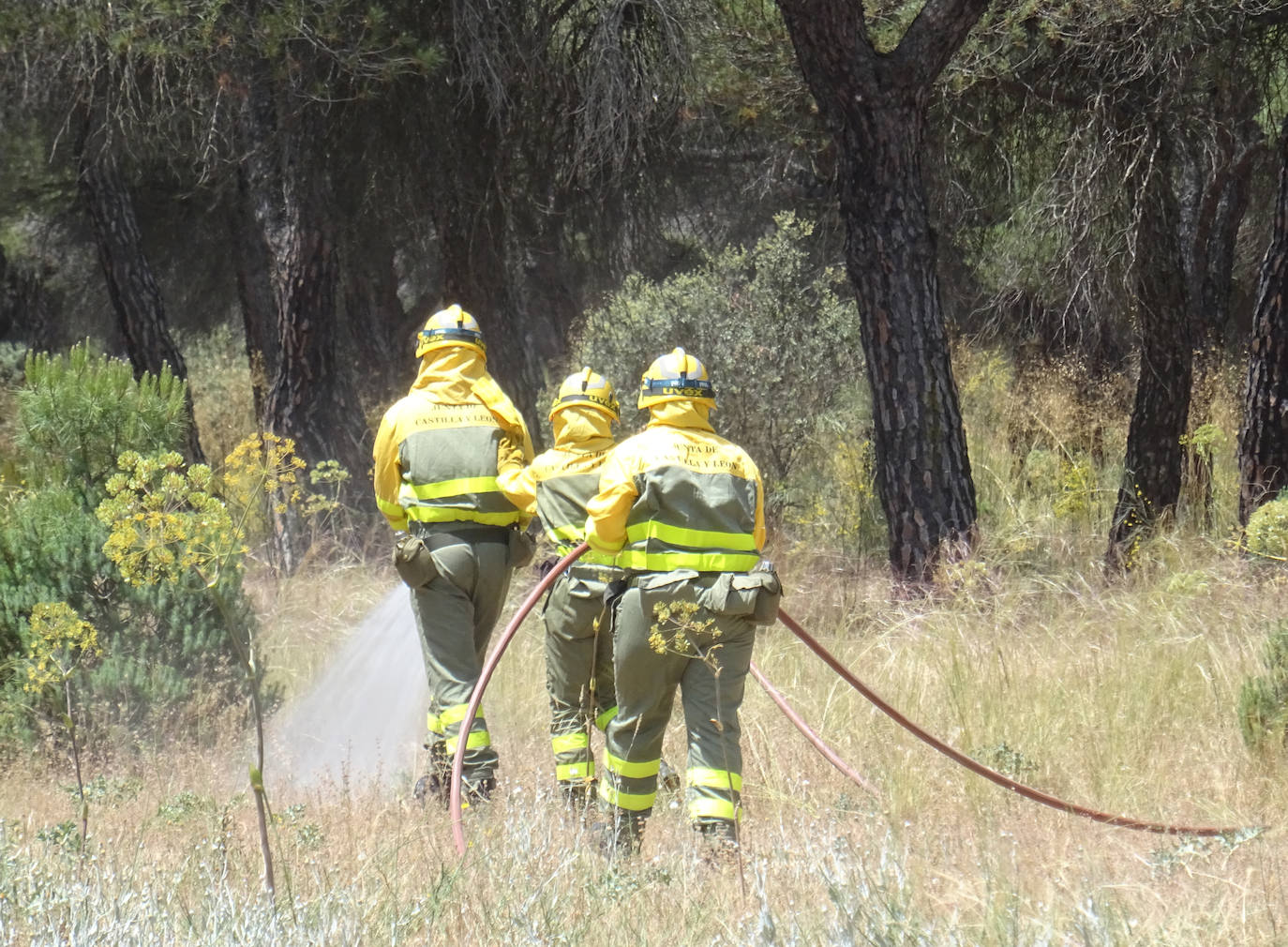 Las imágenes del simulacro de incendio forestal en el Pinar de Antequera