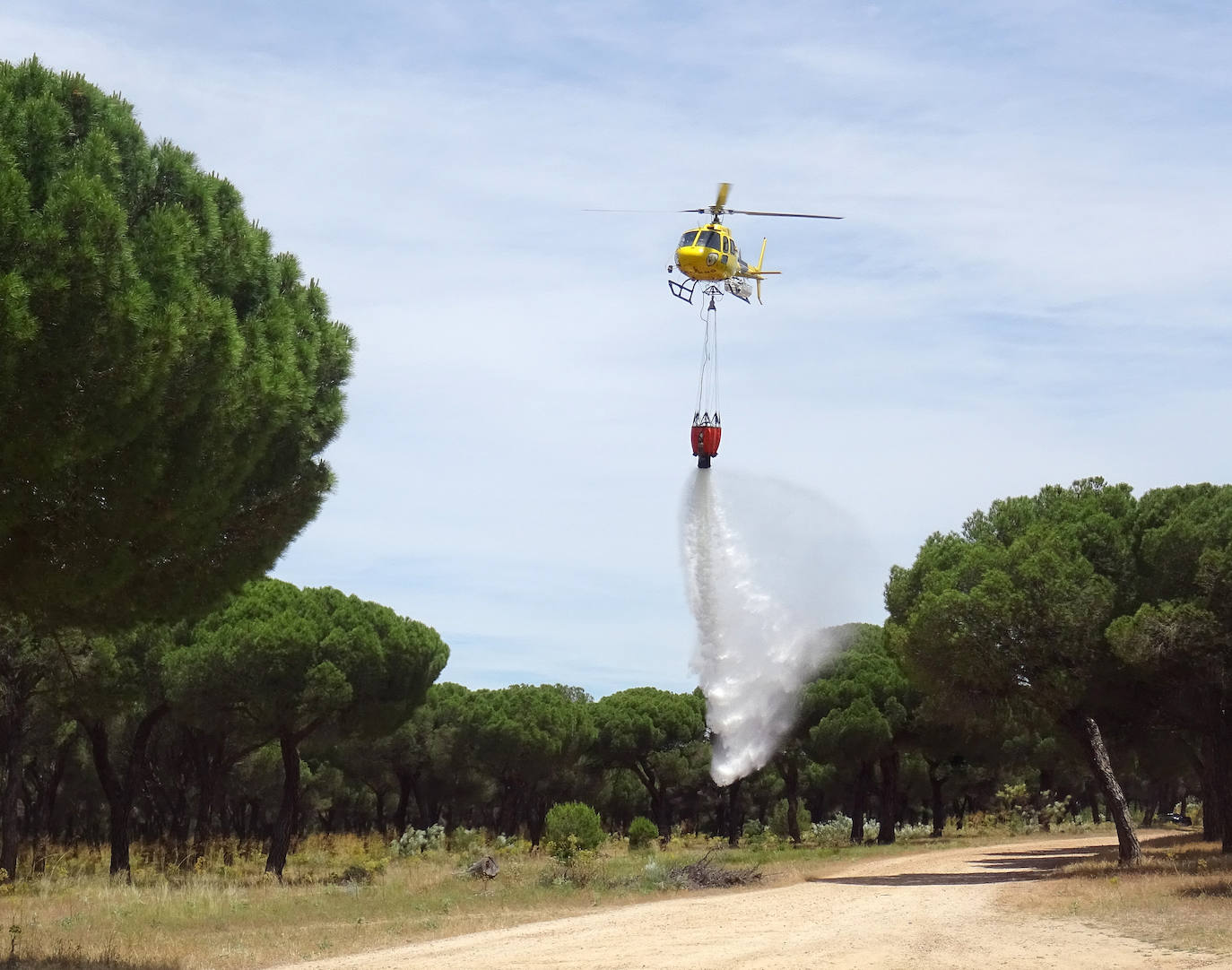 Las imágenes del simulacro de incendio forestal en el Pinar de Antequera