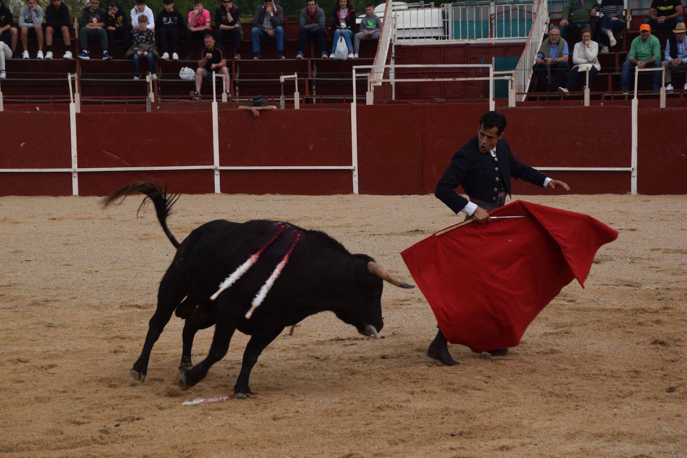 Tarde de toros en las fiestas de Guardo