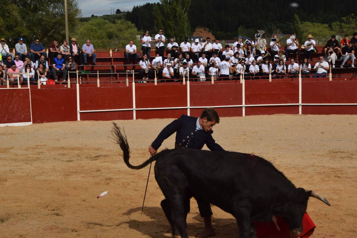 Tarde de toros en las fiestas de Guardo