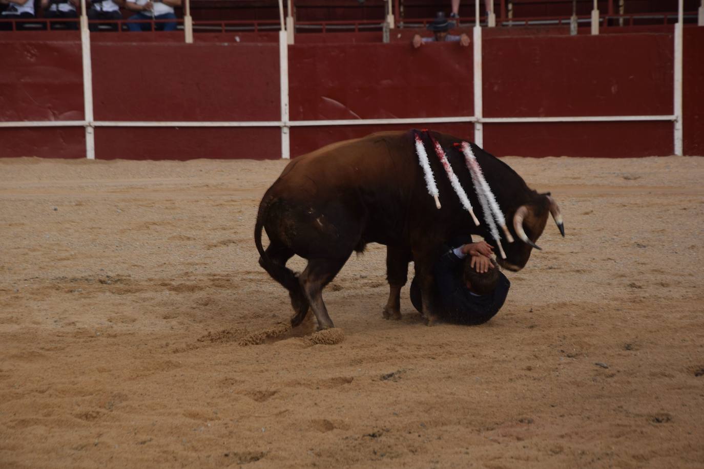 Tarde de toros en las fiestas de Guardo