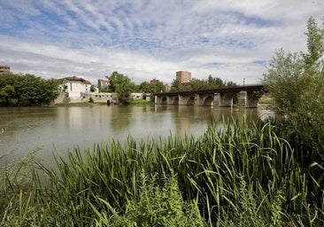 El paseo de Isabel la Católica, la columna vertebral de Valladolid