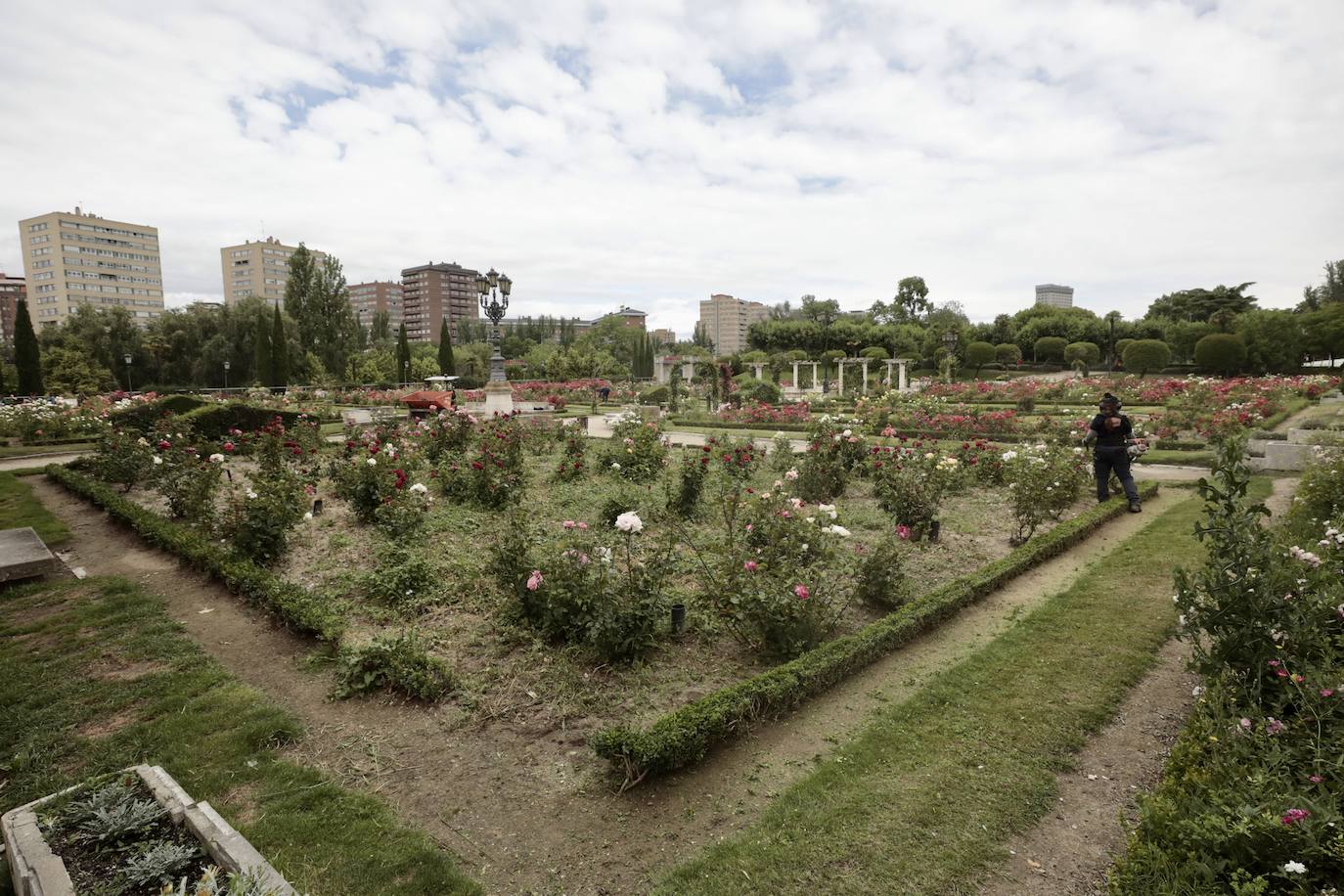 Las imágenes del paseo de Isabel la Católica de Valladolid