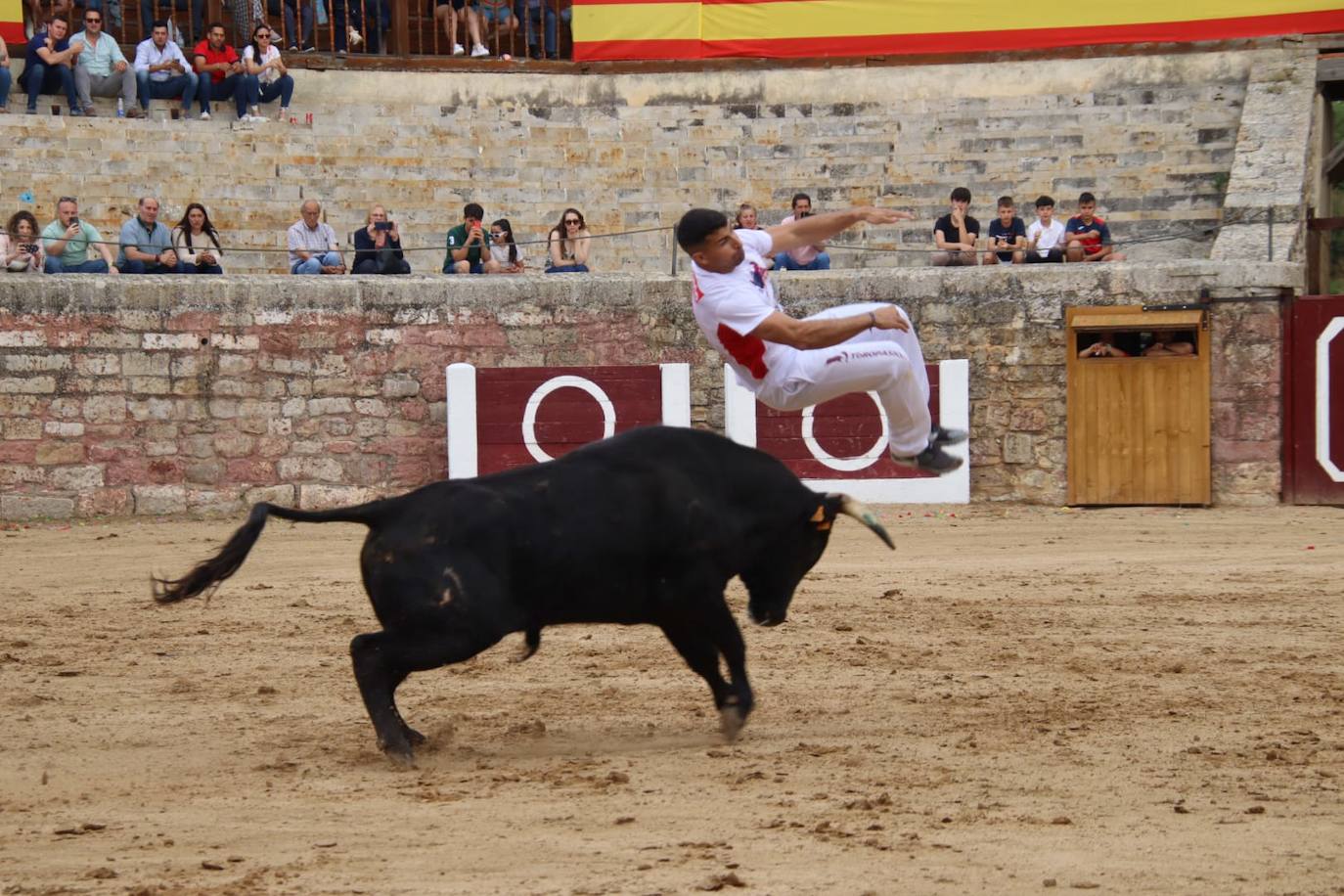 Las imágenes del concurso de cortes en Medina de Rioseco