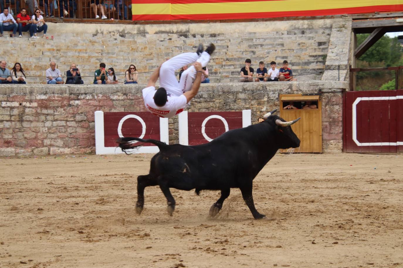 Las imágenes del concurso de cortes en Medina de Rioseco