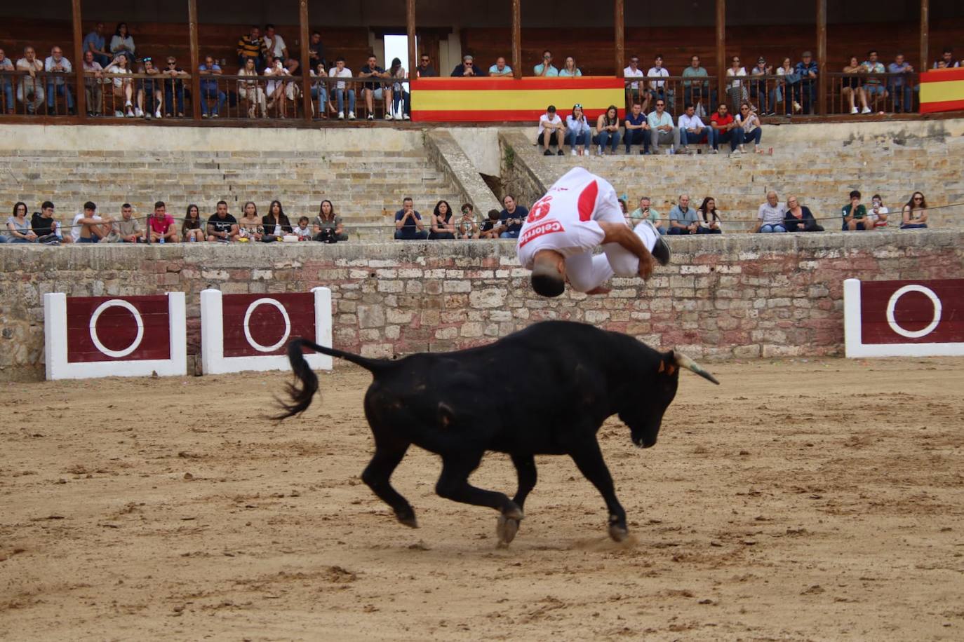 Las imágenes del concurso de cortes en Medina de Rioseco