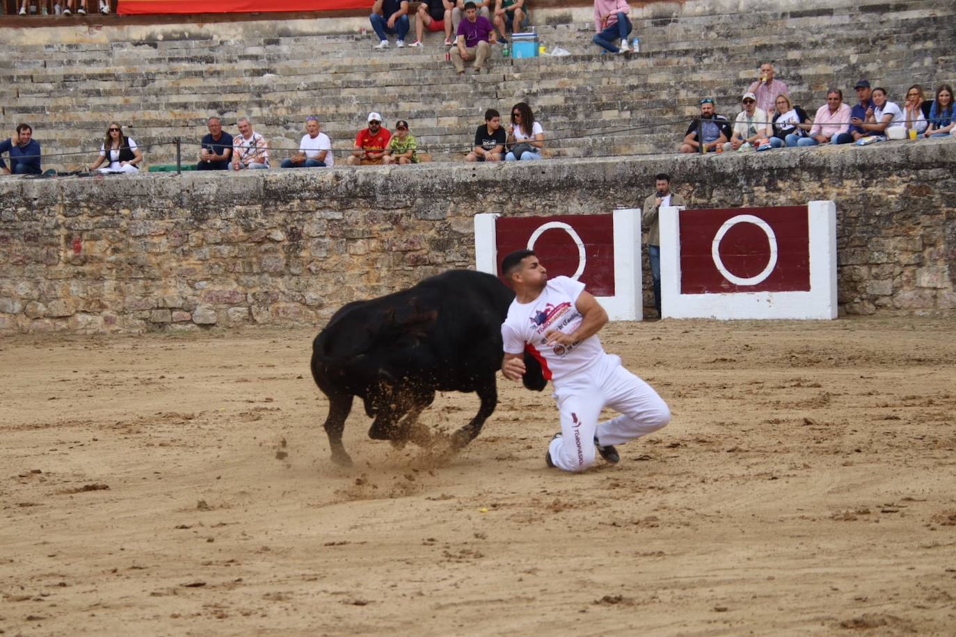 Las imágenes del concurso de cortes en Medina de Rioseco
