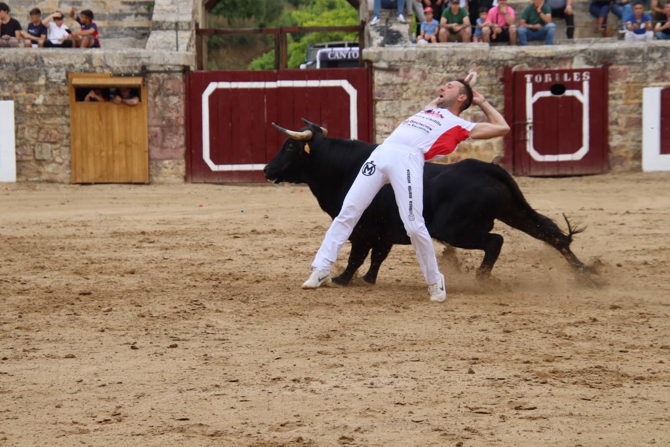 Las imágenes del concurso de cortes en Medina de Rioseco
