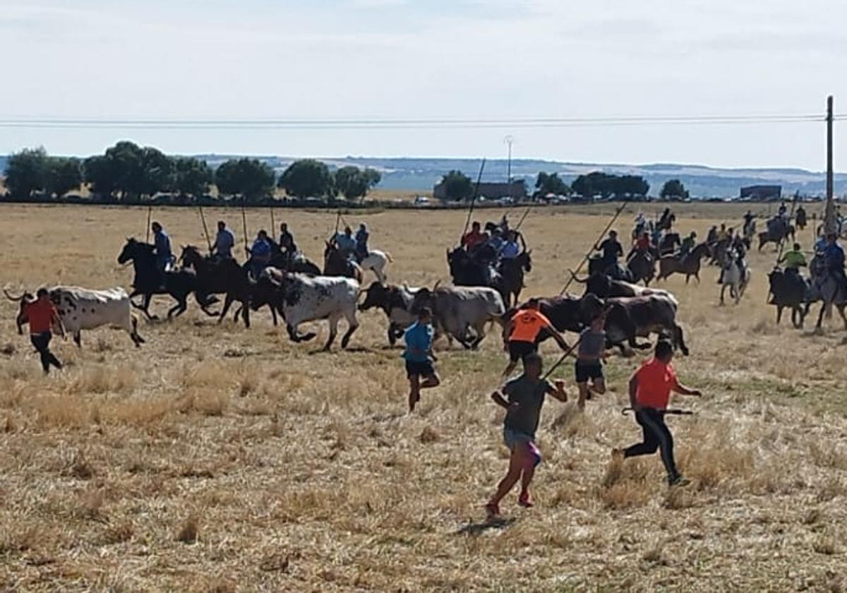 Caballistas y corredores durante el encierro de este sábado en Guarrate.