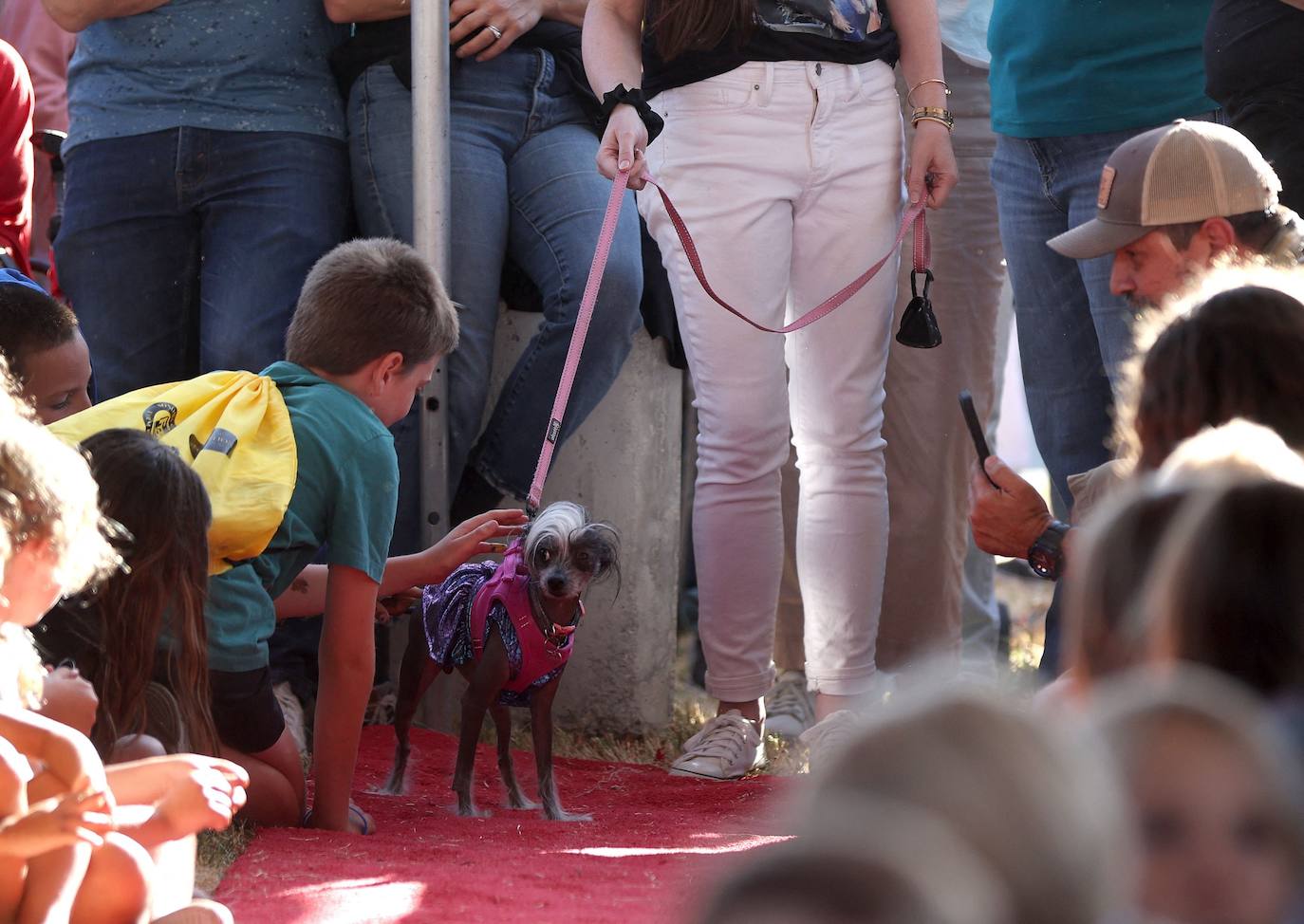 Las imágenes del concurso de los perros más feos celebrado en Petaluma, California