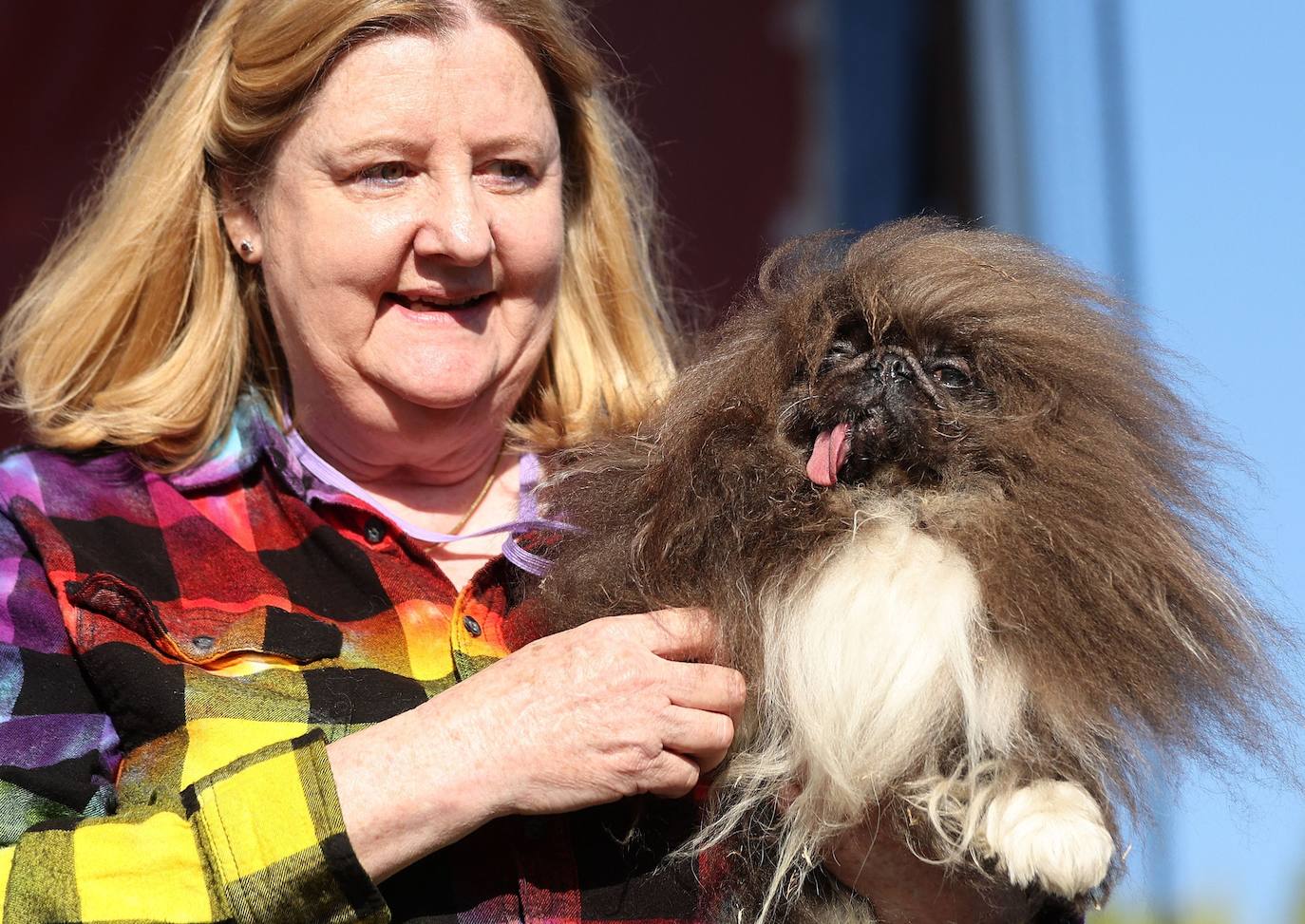 Las imágenes del concurso de los perros más feos celebrado en Petaluma, California