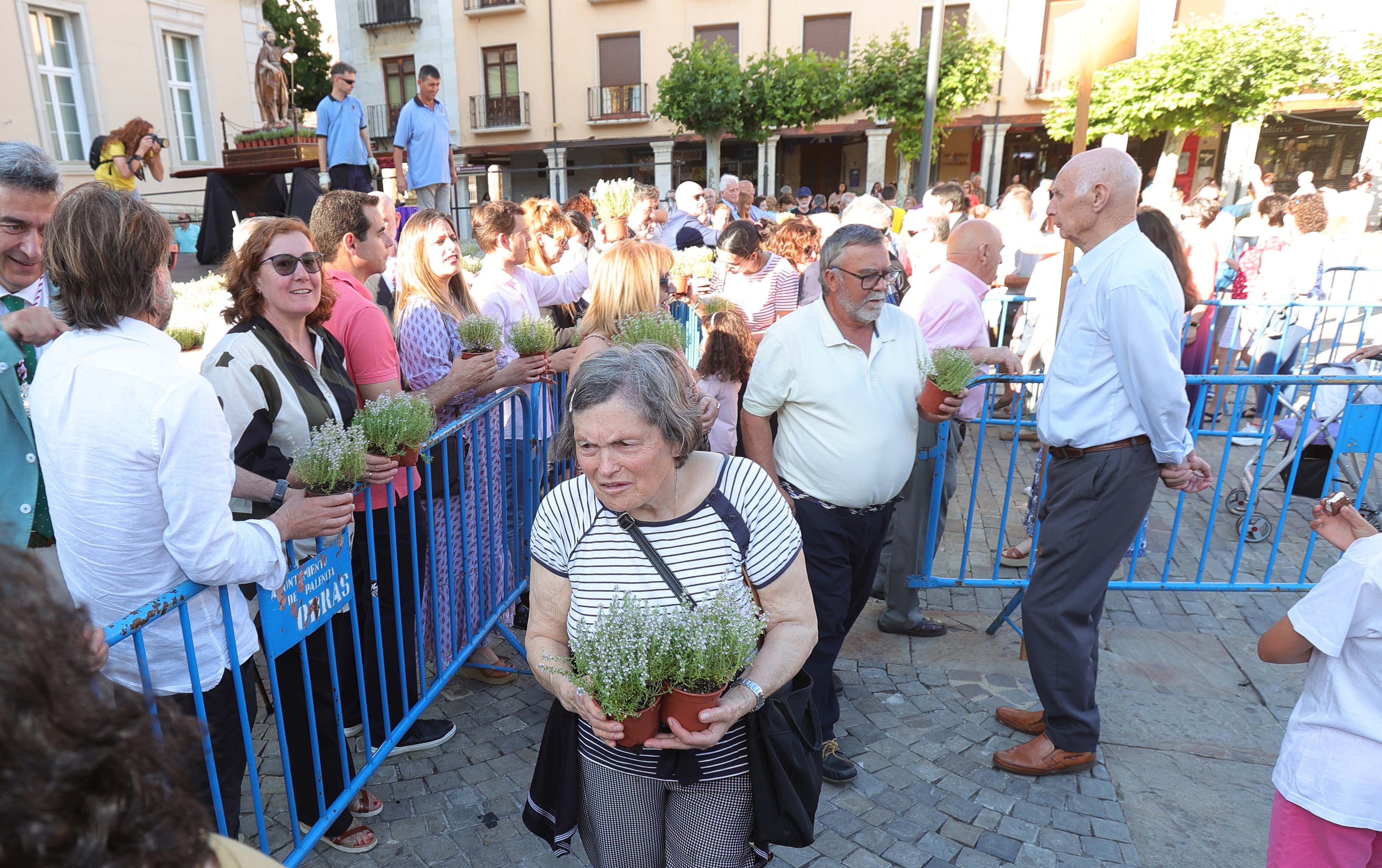 Celebración de San Juan en Palencia