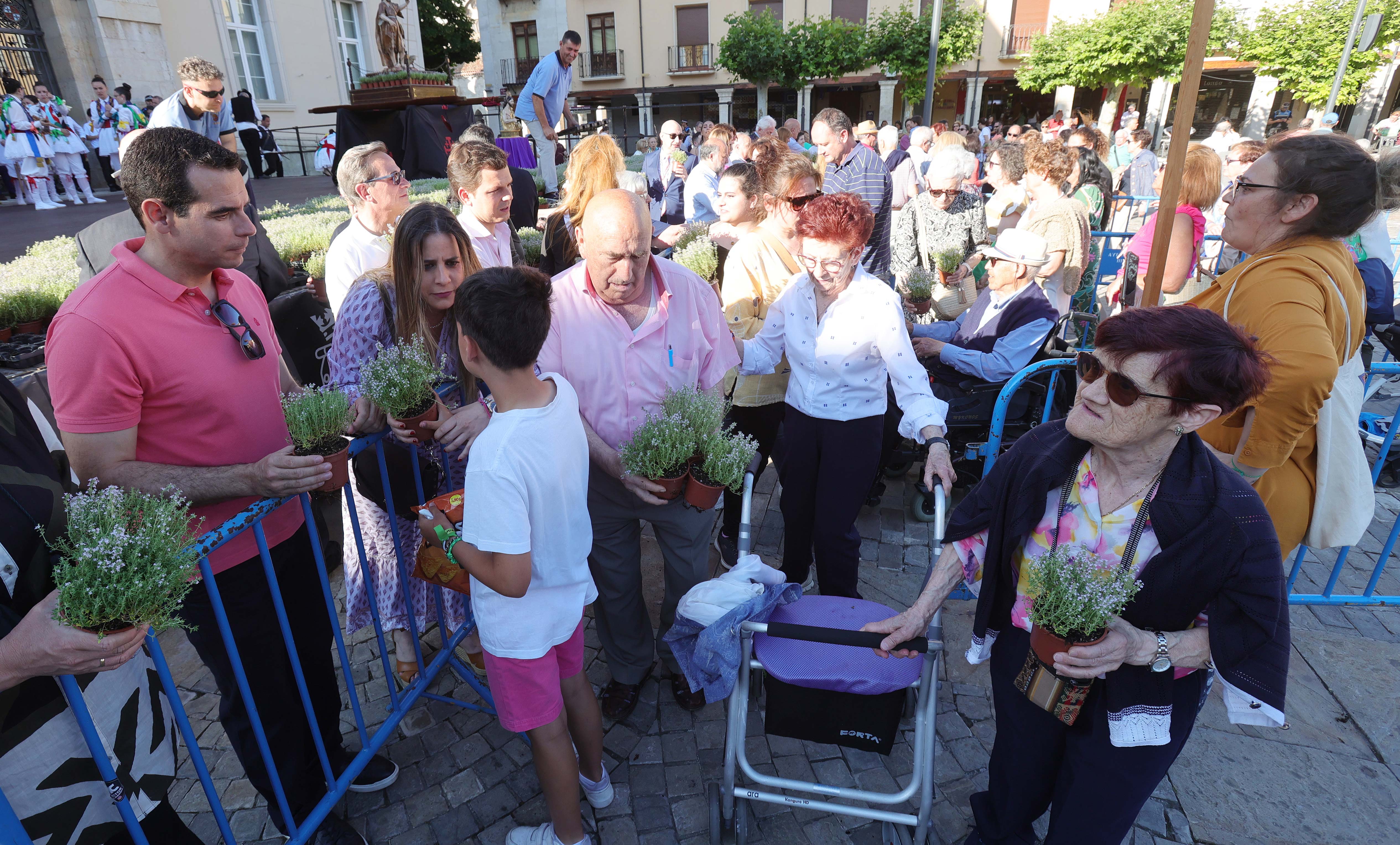 Celebración de San Juan en Palencia