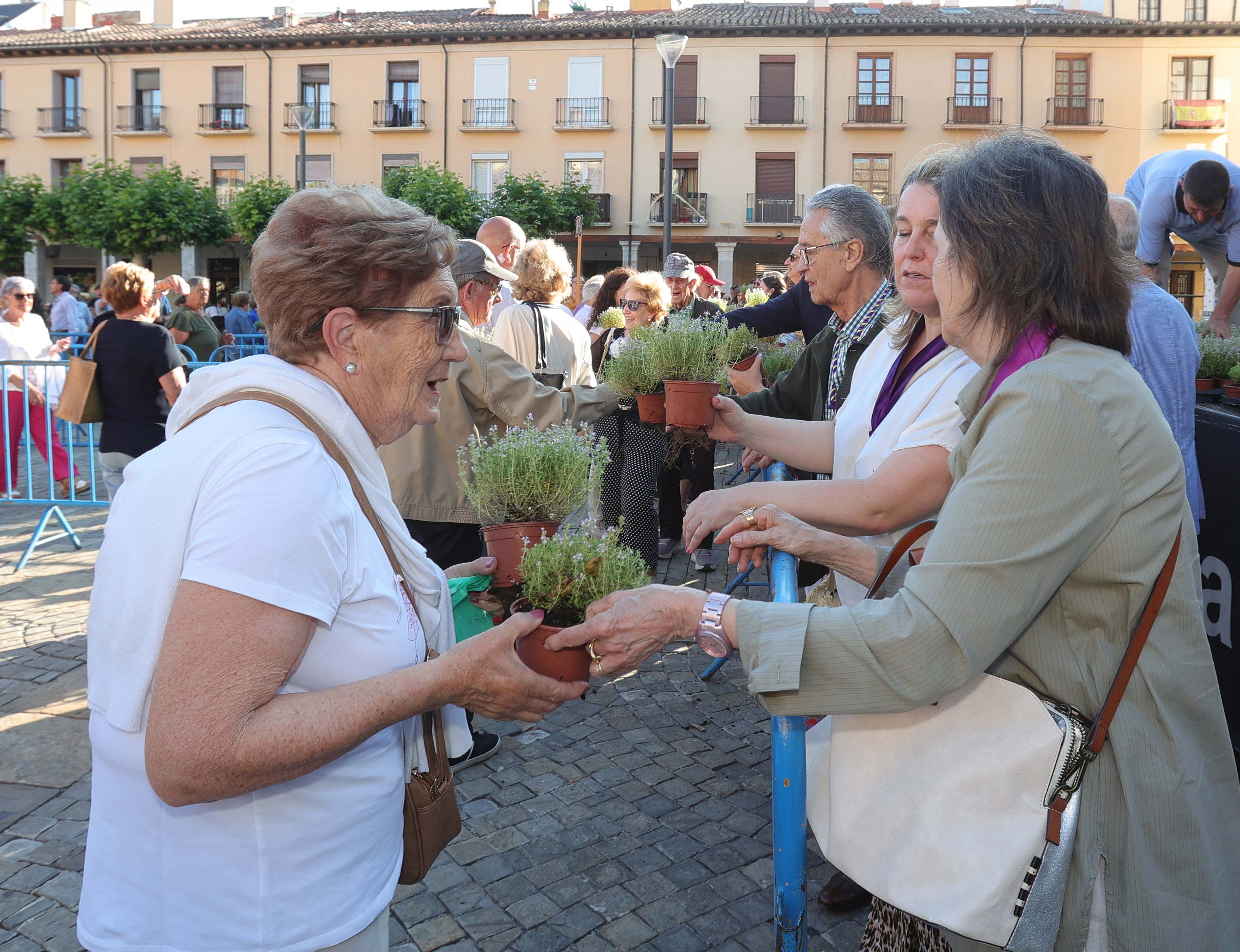 Celebración de San Juan en Palencia