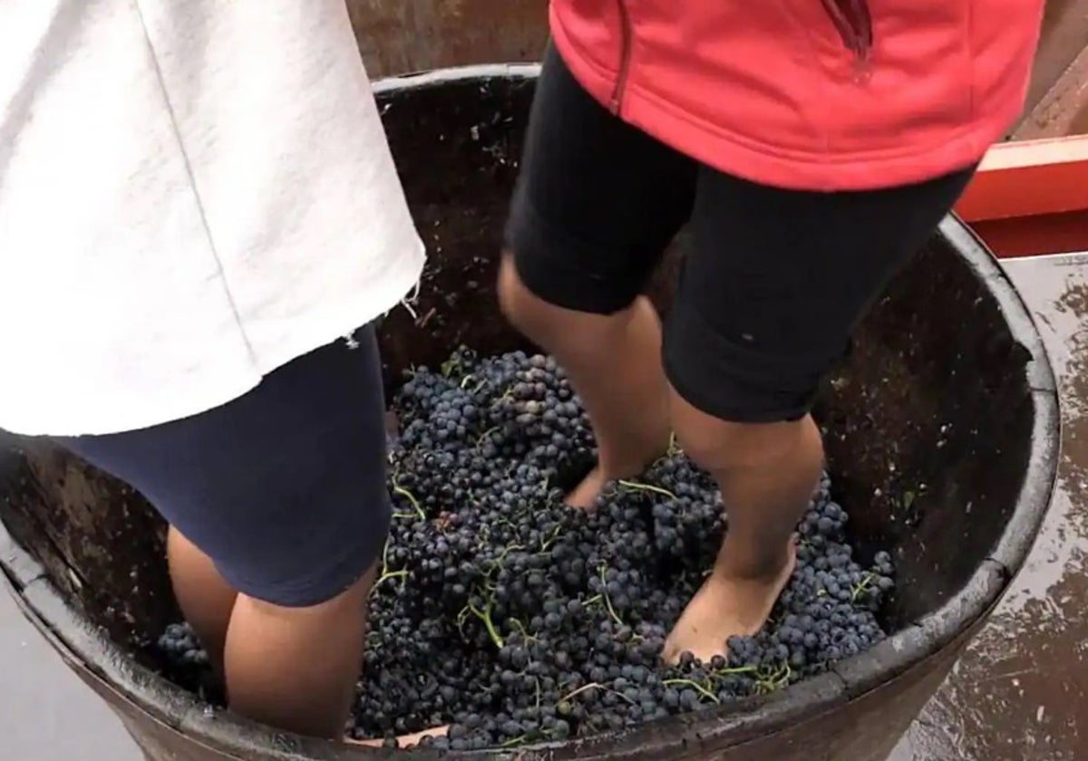 Pisado de la uva en la pasada Feria de la Vendimia.