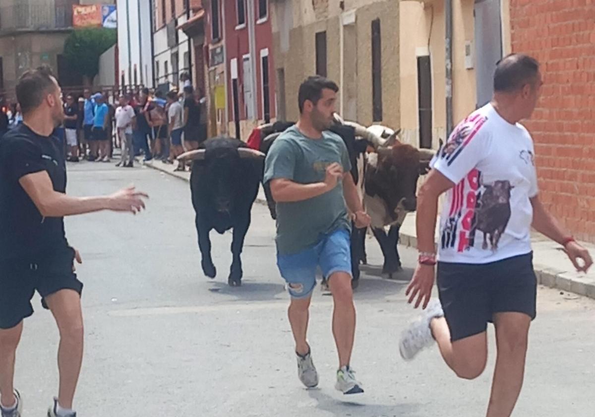 Tres mozos corren delante de los toros en Siete Iglesias este domingo..