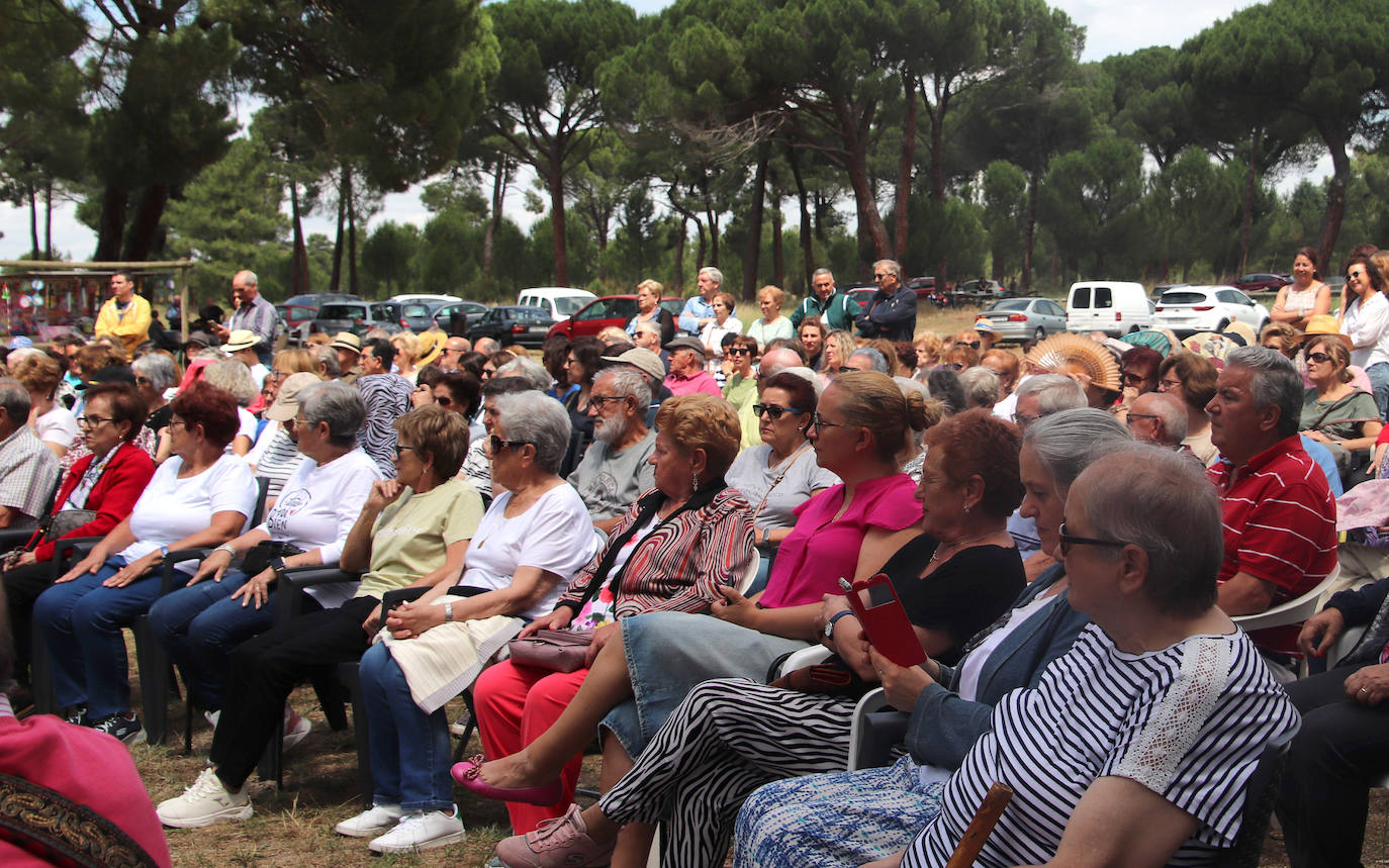 La fiesta de Villa y Tierra Antigua de Cuéllar, en imágenes