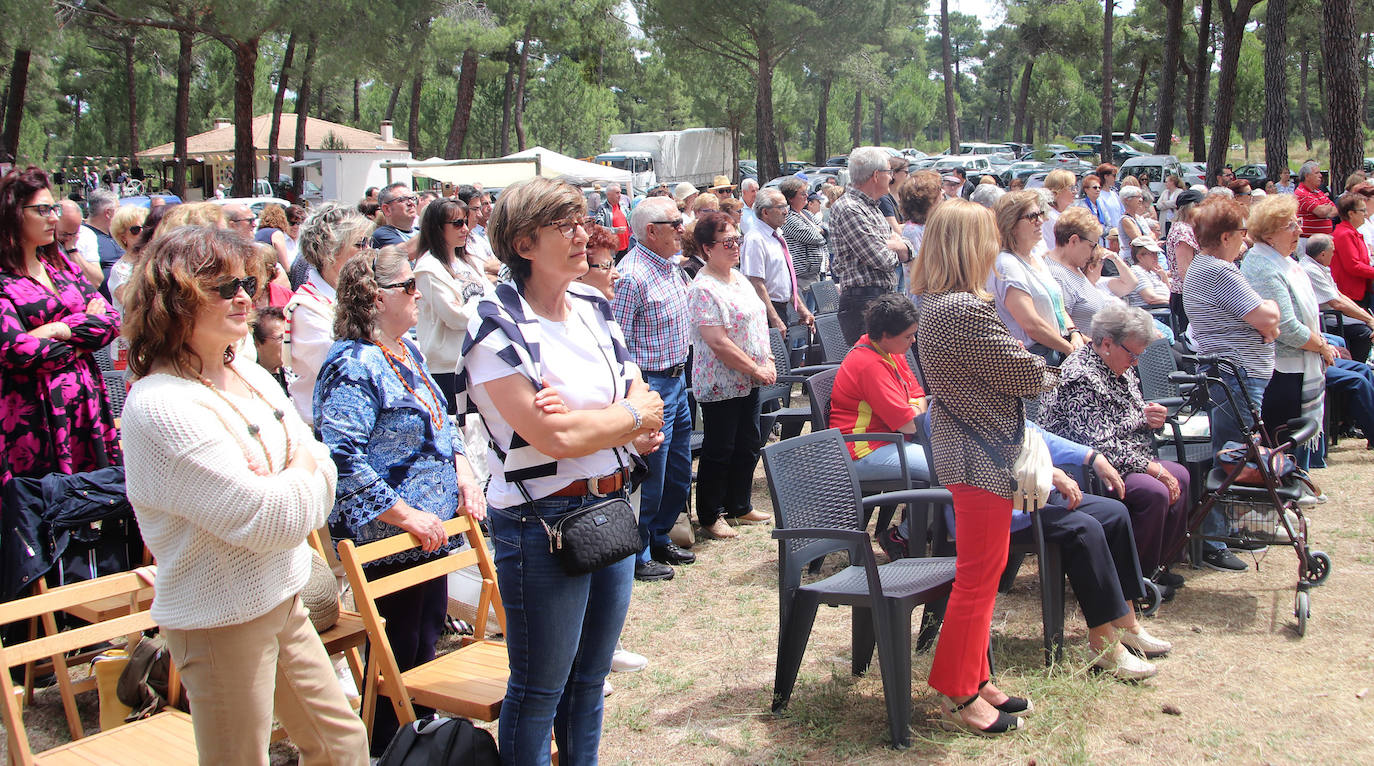 La fiesta de Villa y Tierra Antigua de Cuéllar, en imágenes