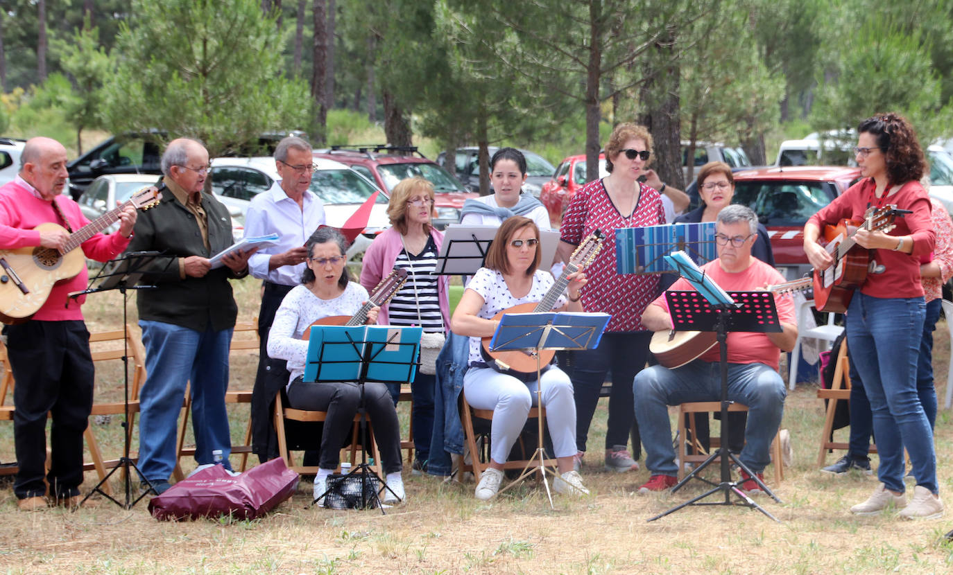 La fiesta de Villa y Tierra Antigua de Cuéllar, en imágenes