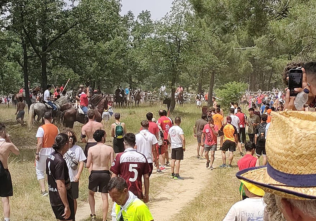 Veinte parejas se apuntan para ser jurados de Cuadrilla para San Juan 2025 en Soria