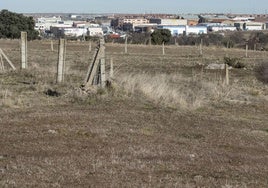 Terrenos de Prado del Hoyo, con el polígono de Hontoria al fondo.