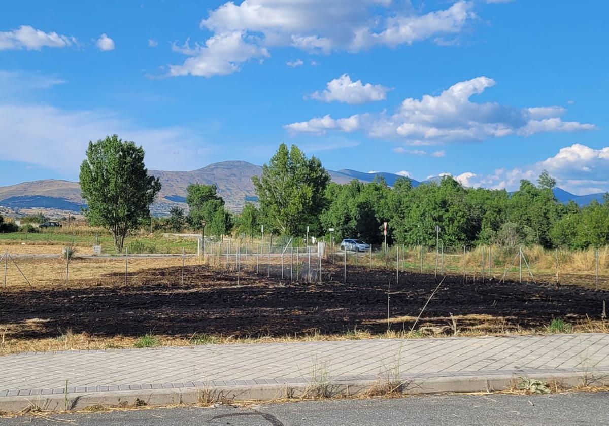 Parcelas afectadas por el incendio de este domingo en El Espinar.