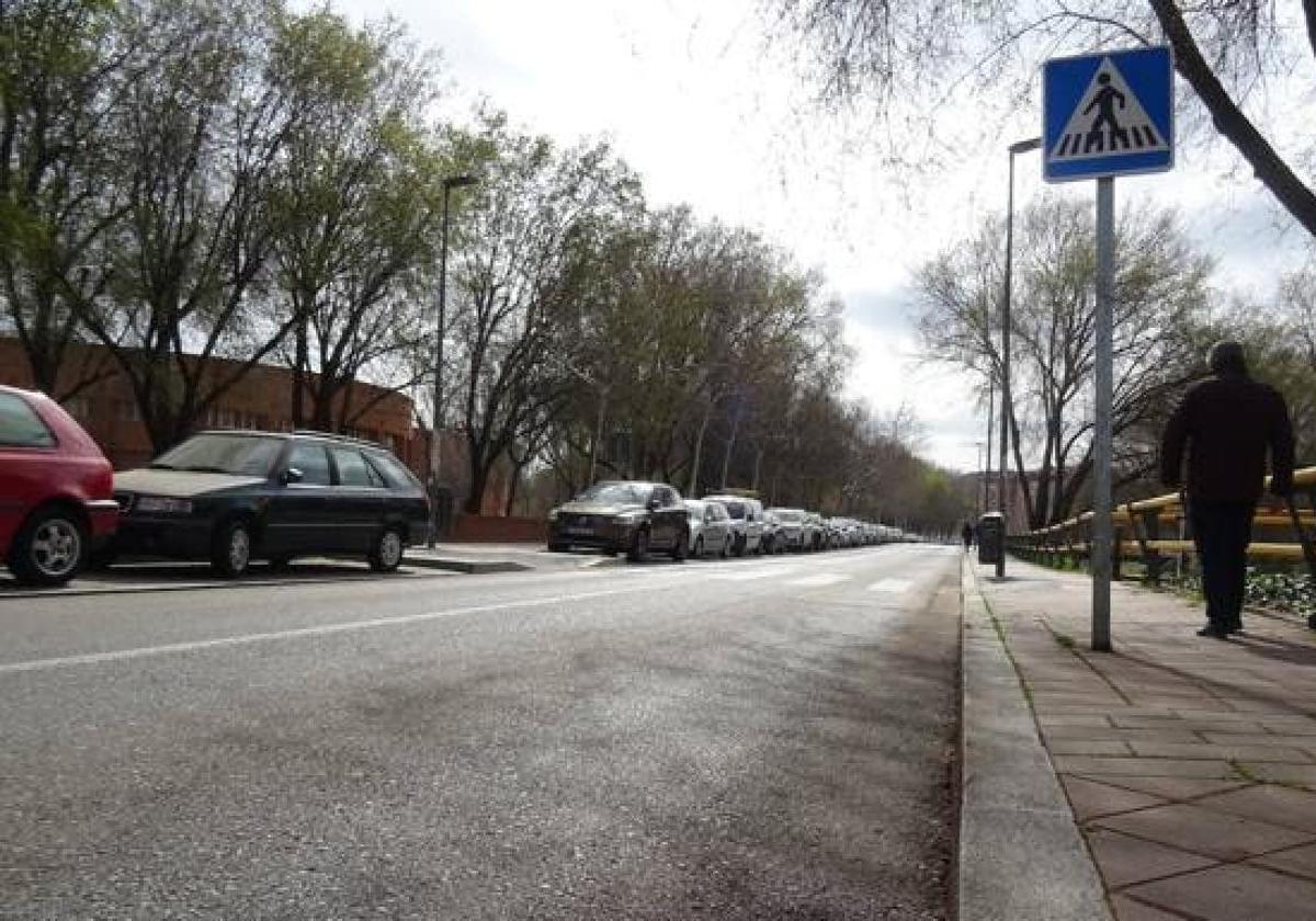 Los trabajos por la red de abastecimiento cortarán dos tramos del Paseo del Cauce.