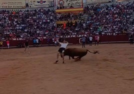 Un mozo corta uno de los cinco novillos que se soltaron en la capea posterior al encierro.