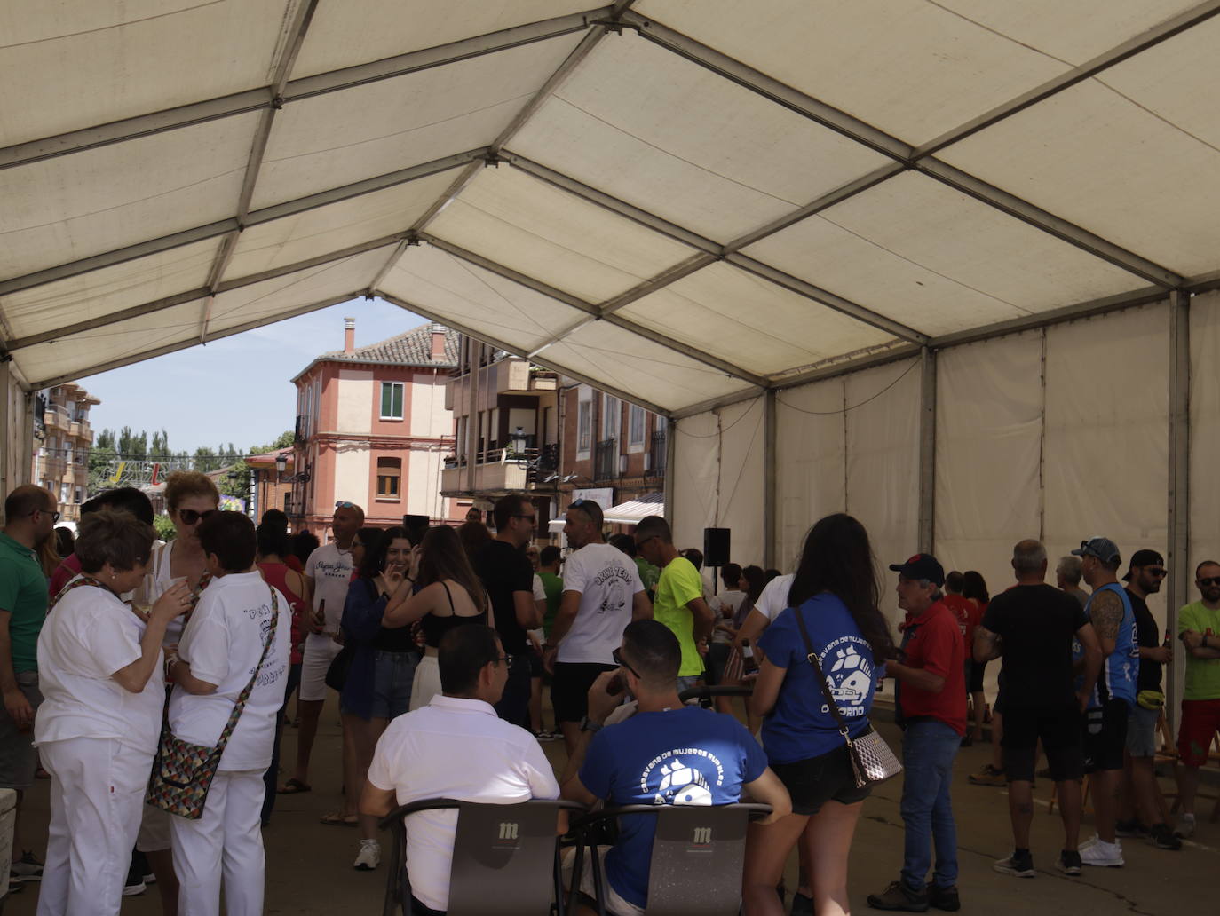 Las peñas animan las fiestas de Osorno