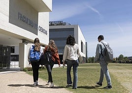 Varios alumnos caminan por la facultad de Ciencias antes de finalizar el pasado curso.