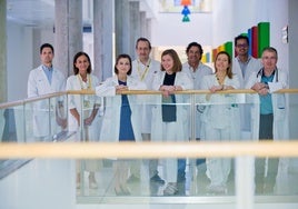 Mario Santos (otorrinolaringólogo), Julia Rodríguez Barbero (Farmacia), Alicia Armentia, Alejandro Sánchez y Sara Fernández (Alergología); Jorge Freijanes (otorrino), Ainhoa Arroyo (neumóloga), Hugo Lara (otorrino) y Julio Frutos (neumólogo).