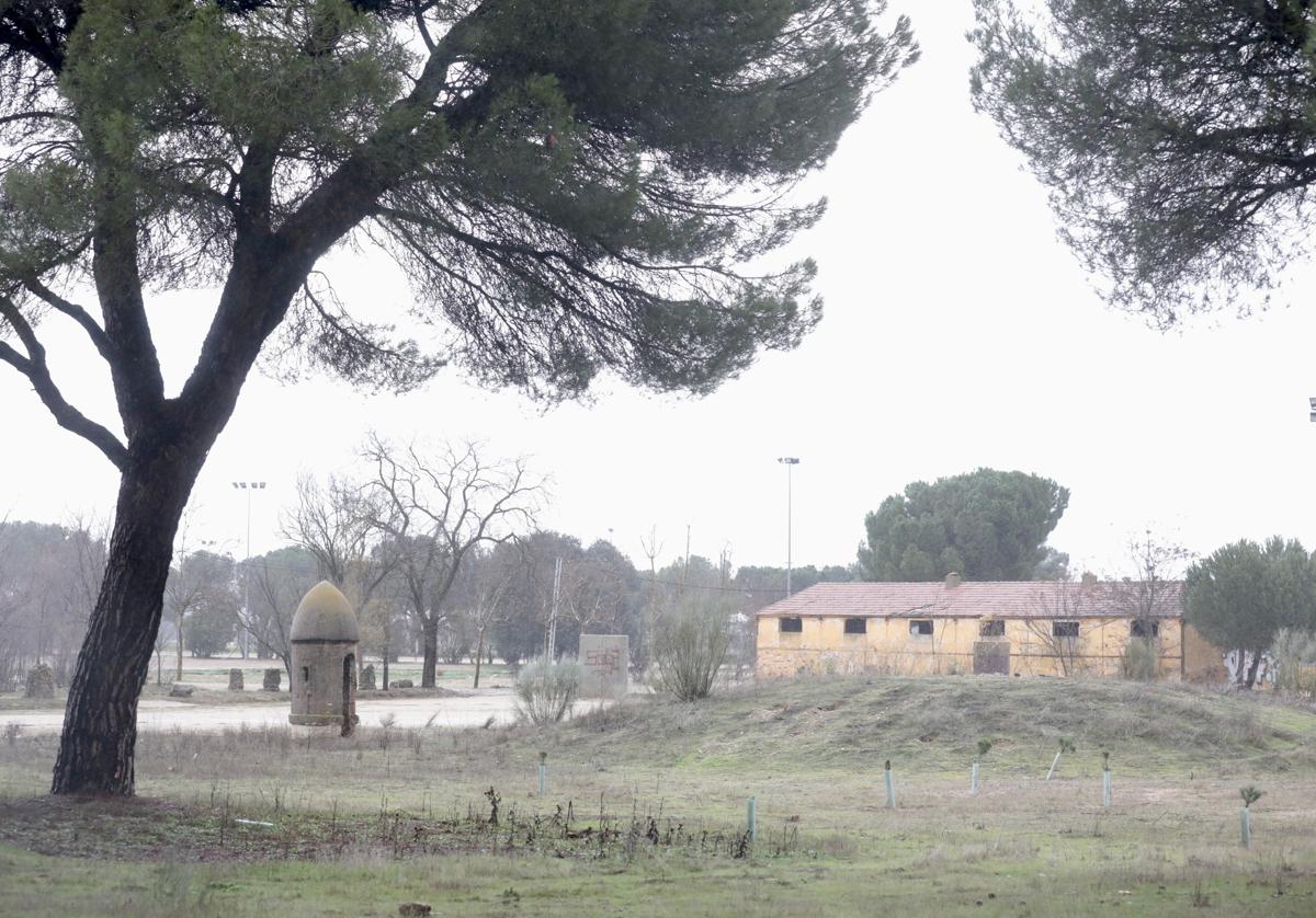 Pinar de Antequera, Valladolid.