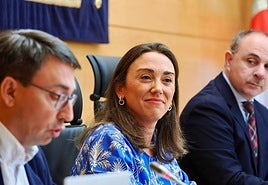 María González durante una comparecencia en las Cortes.