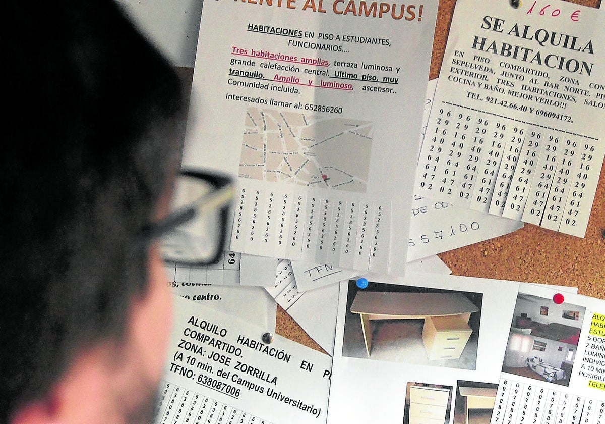 Un joven observa el tablón de anuncios de pisos y habitaciones en el campus María Zambrano de la UVA