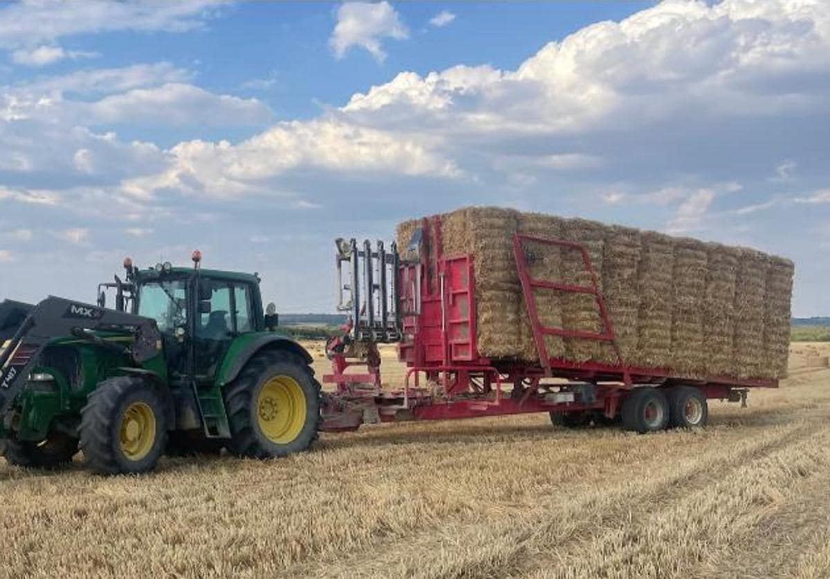 Comienza a cotizar la paja en la lonja de Salamanca | El Norte de Castilla