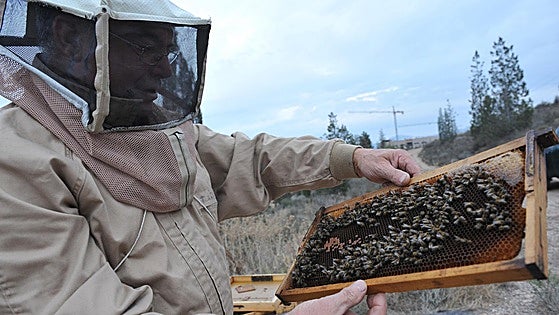 Sube la importación de miel de «dudosa calidad» en más de 2.000 toneladas