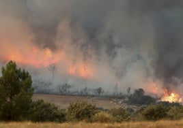 Imagen de un incendio forestal en la región.