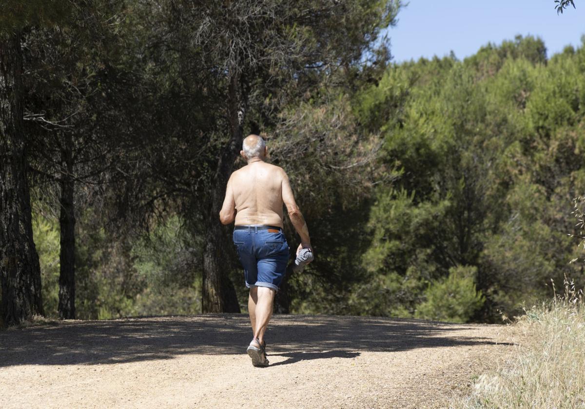 Un hombre pasea por el Cerro de las Contiendas, hace unos días.