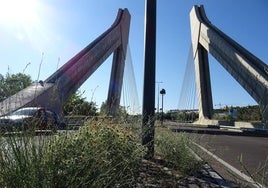 Malas hierbas en la mediana adoquinada del puente de Hispanoamérica.