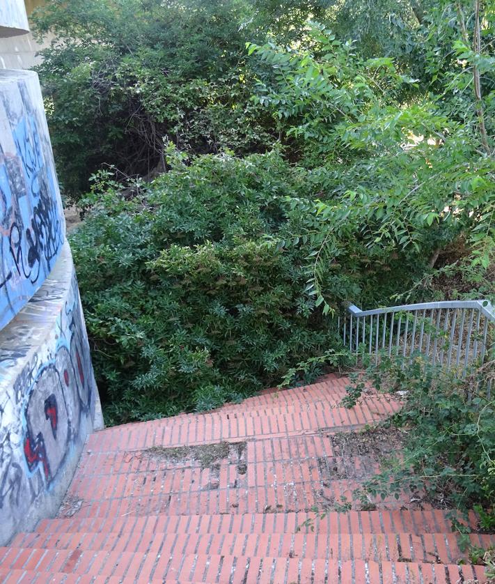 Imagen secundaria 2 - Estado de las escalinatas del puente de Hispanoamérica. Debajo, a la derecha, la escalera cortada al paso por la caída de un árbol.