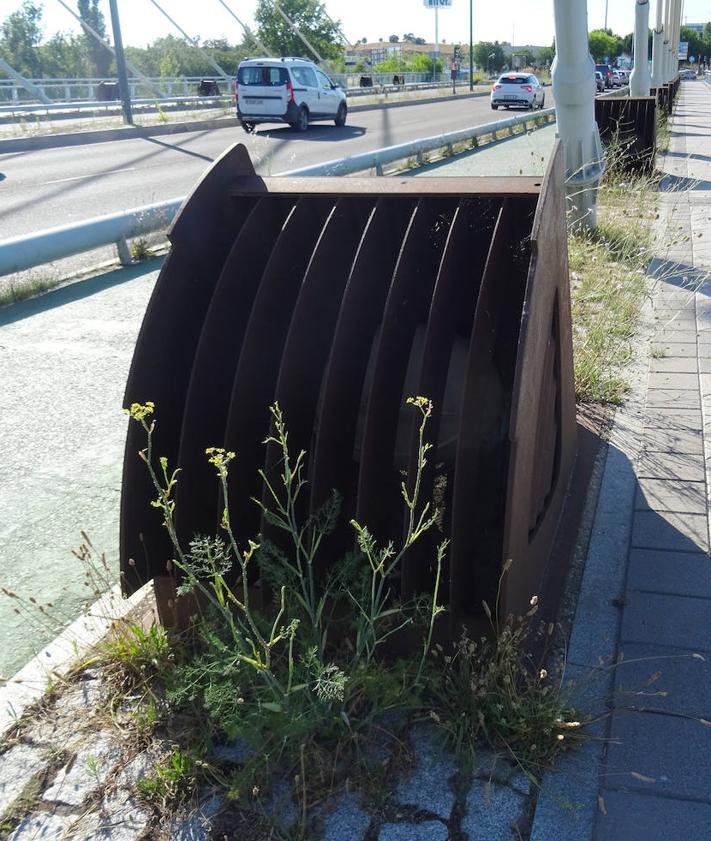 Imagen secundaria 2 - Malas hierbas en la base de las velas del puente (arriba), el carril bici (debajo, a la izquierda) y delante de los focos (derecha).