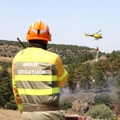 Controlado tras cuatro horas el incendio en un pinar próximo a La Higuera