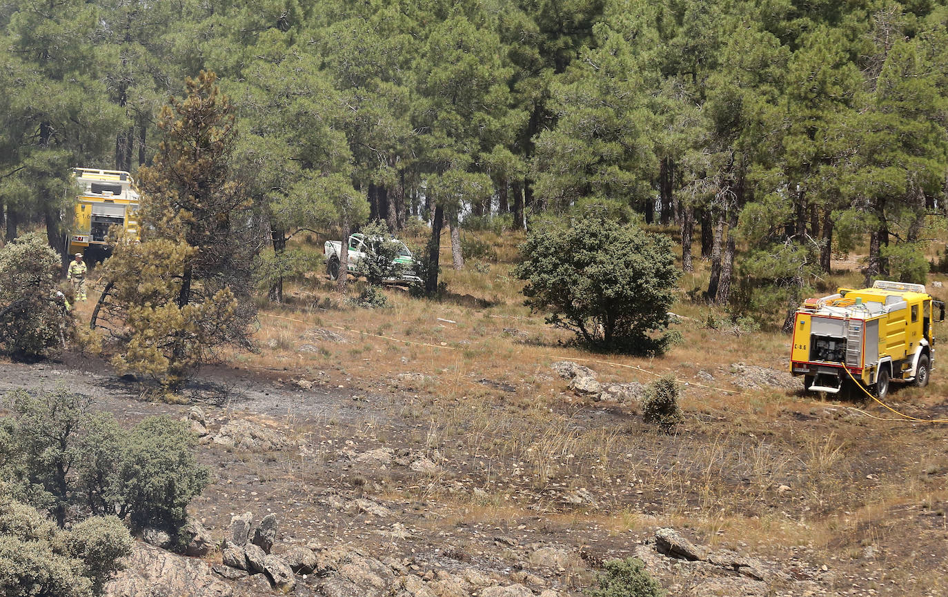 Fotografías del incendio en un pinar de La Higuera